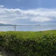 おっくの画像