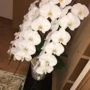 ゆうたろうの画像