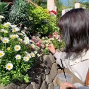 コグマ
