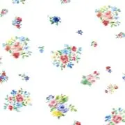 mimosaの画像