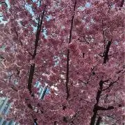 にょろにょろ
