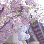 みずきの画像