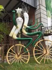 ぎんちゃんずの画像