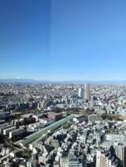 TokUママ❤の画像
