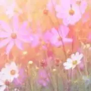 あおい(6/16までセール中です)の画像