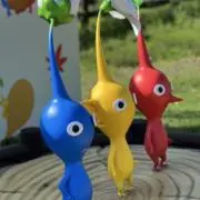 くまっちゃの画像