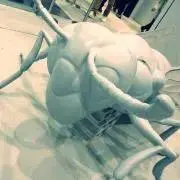 ようじの画像