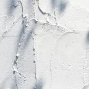 ぴぃの画像