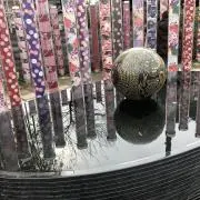 Riiの画像