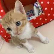 むぎちゃん☆プロフィール必読☆