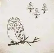 owlの画像