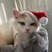 けんじ