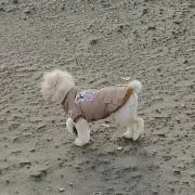 ハナ