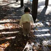n1123の画像