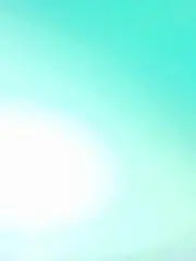 R.O.の画像