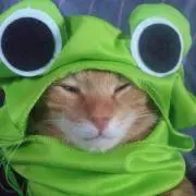 ピ