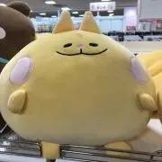 Miyukiの画像