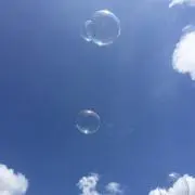 シュガー❗️の画像