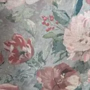 オカンの画像