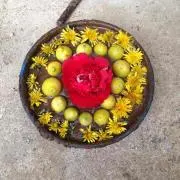 nuuu