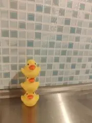 リカの画像