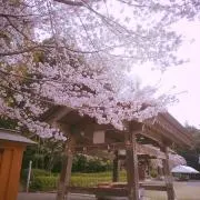 みーこどん