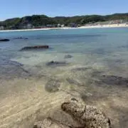 あぴたんの画像