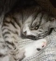 yu.k..の画像