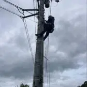 久の画像