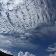 さっちんの画像