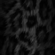 Hの画像