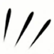 パンダ