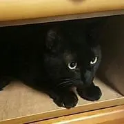marie244プロフ確認下さいの画像