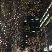 colの画像