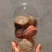 あぁにゃおの画像