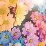 yuuyの画像