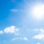 さらだちきんの画像