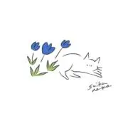 Rayの画像