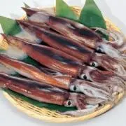 イカを愛するK