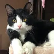 なつ漫堂の画像