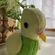 ぴよたろうの画像