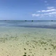 yatosumoの画像