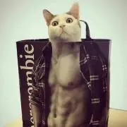 あたまの画像