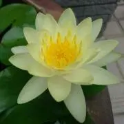 ちかの画像