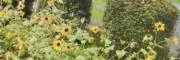 がんぺー@お値下げはコメントください！の画像