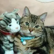 まなかの画像