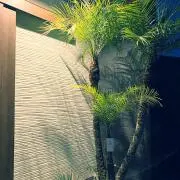 よし