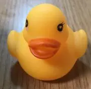アヒルの画像