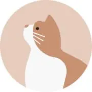 こじ(プロフィールをお読みください)の画像
