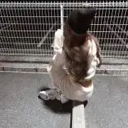mの画像
